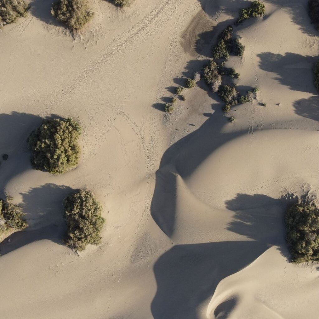 Imagen aérea de las dunas de Maspalomas con sus dunas de arena dorada